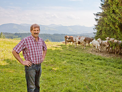 Betriebsleiter mit Rinderherde