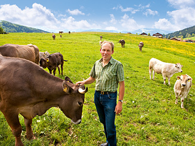 Betriebsleiter bei Rindern auf Weide