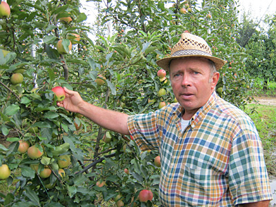 Betriebsleiter in Apfelplantage