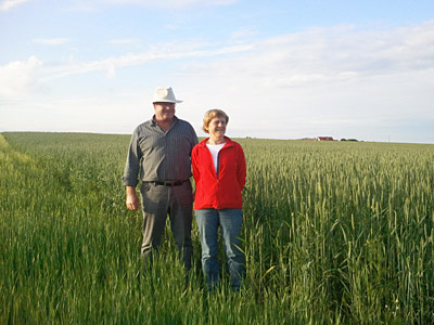 Frau und Mann im Weizenfeld
